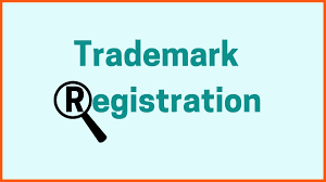 Trademark Registration Services in Moradabad